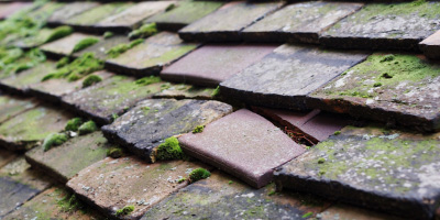 Highfields roof repair costs
